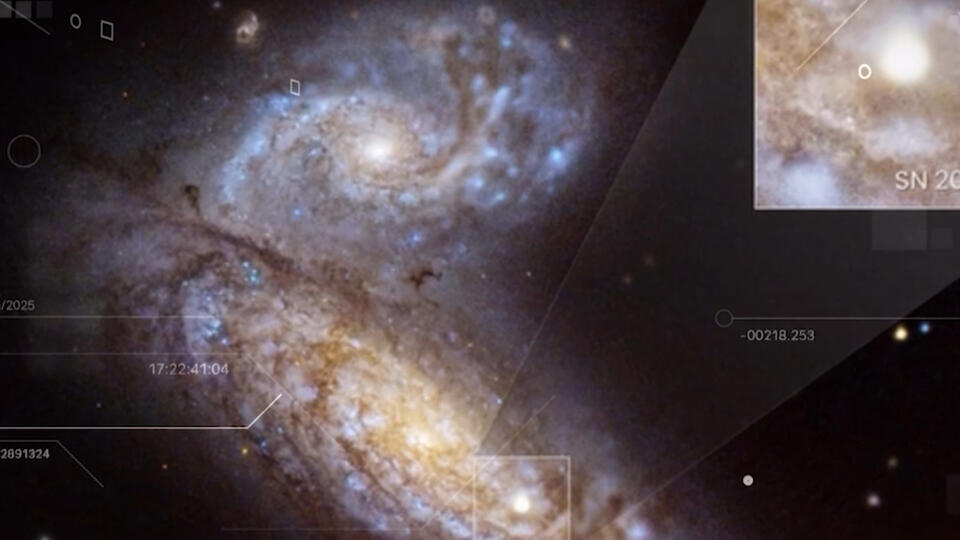 Фото: © Кадр из программы "Загадки человечества", РЕН ТВ