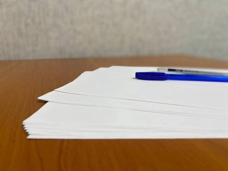     Соцконтракт помог жителю белгородского села открыть автосервис, фото: МК в Белгороде