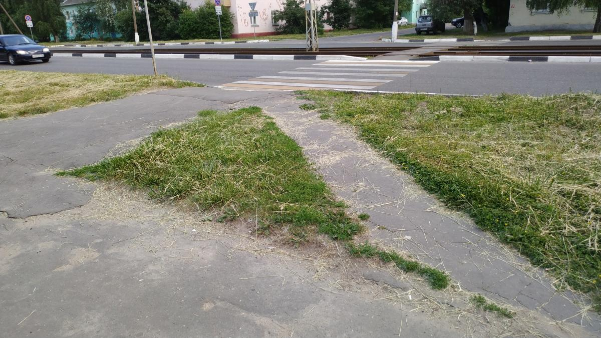 Фото из интернета 