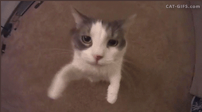 Целуем, обнимаем, всех наших читателей)