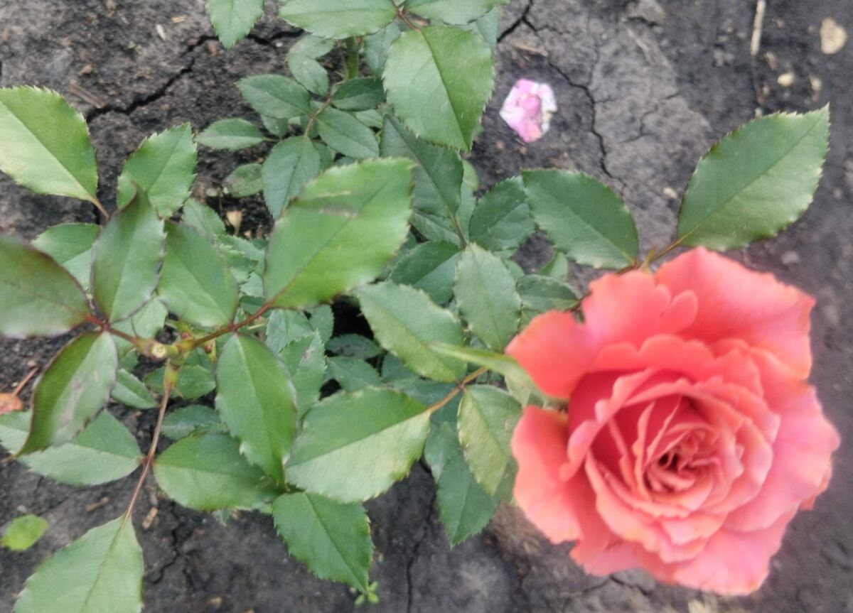 фото Татьяны