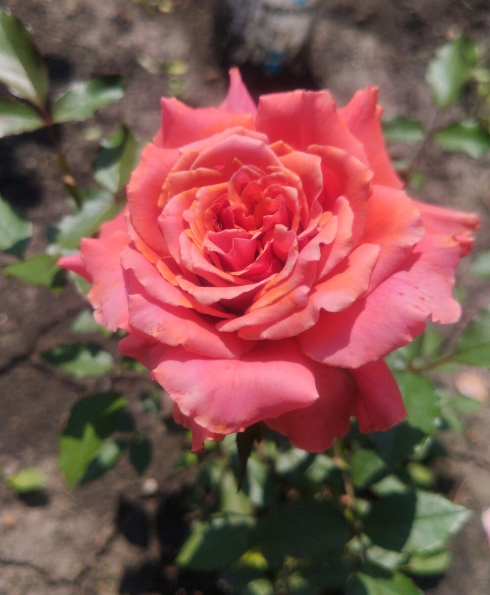 фото Татьяны