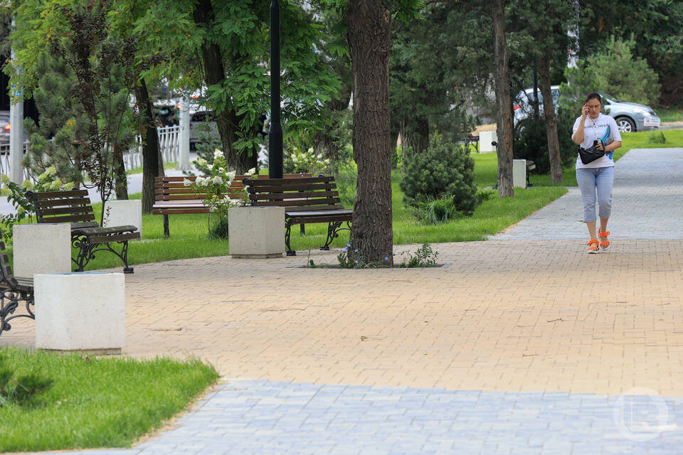    Фото: Дмитрий Рогулин/"Городские вести"