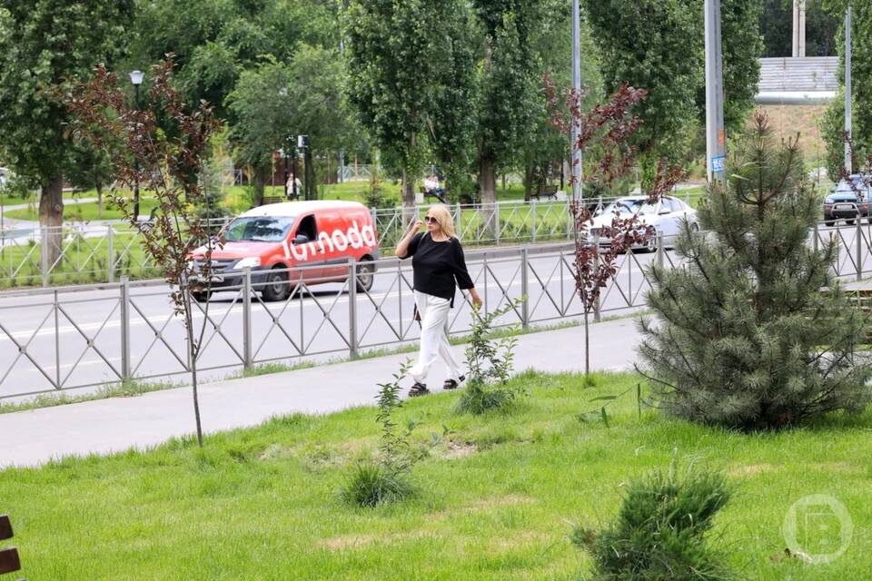    Фото: Дмитрий Рогулин/"Городские вести"