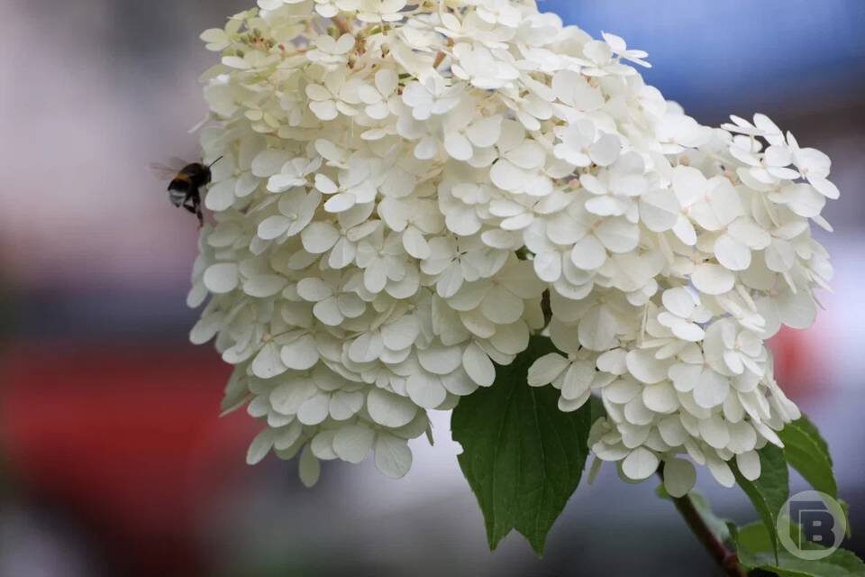    Фото: Дмитрий Рогулин/"Городские вести"