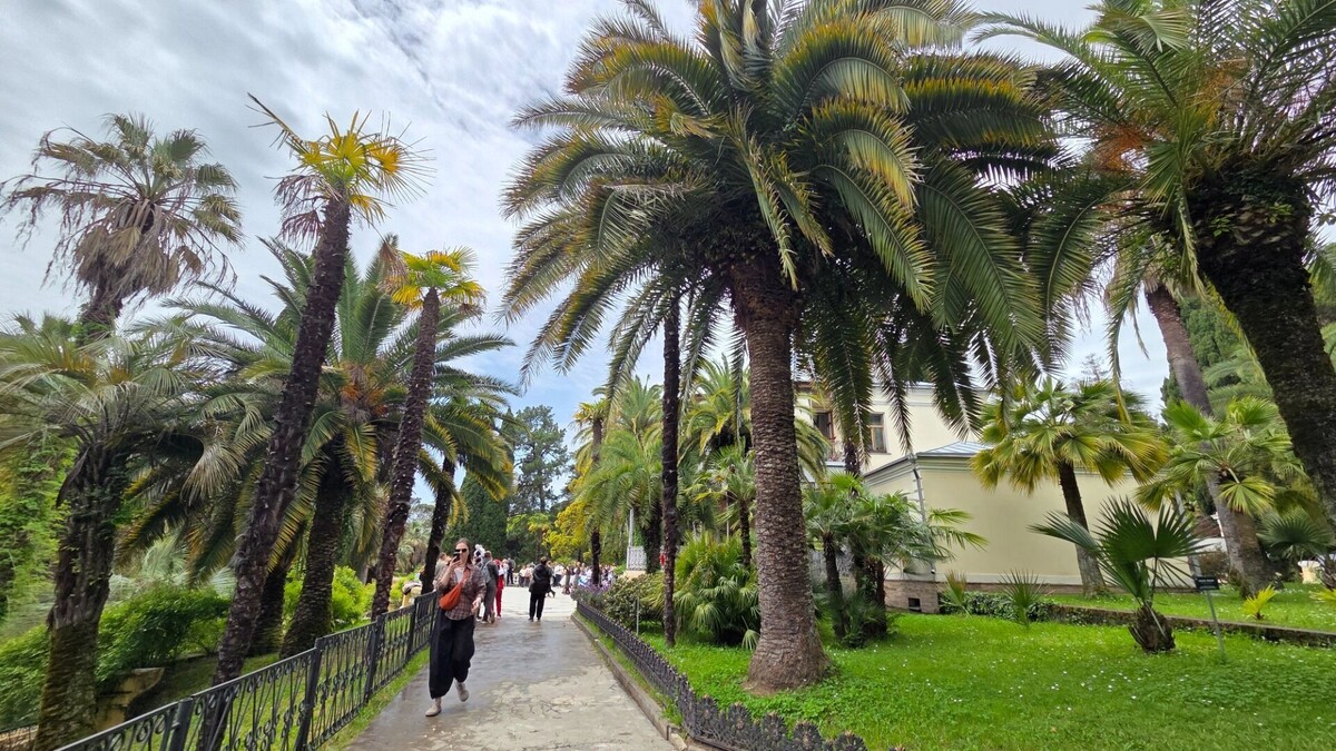     Автор: KubanPress Источник: kubanpress.ru