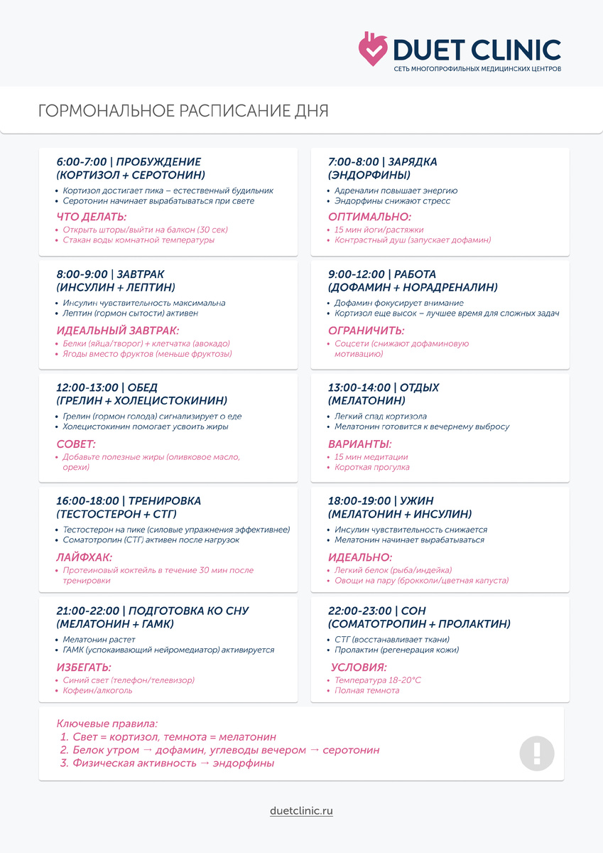 Дуэт Клиник