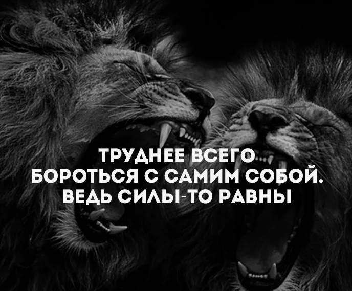 яндекс поиск