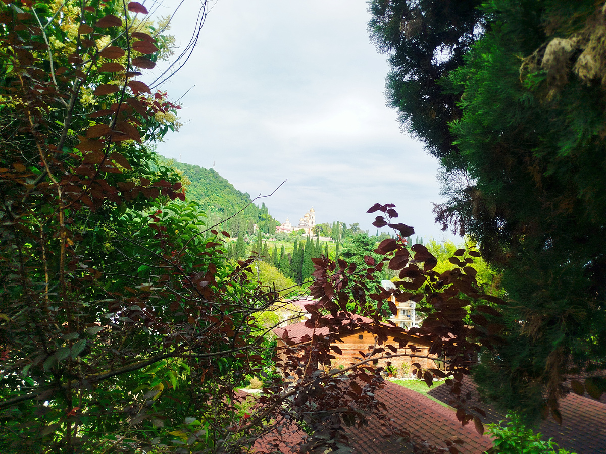 Новоафонский монастырь сквозь красивые заросли