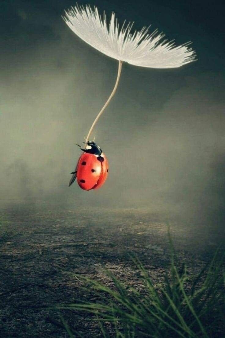 Я вроде есть или нет меня вовсе? 