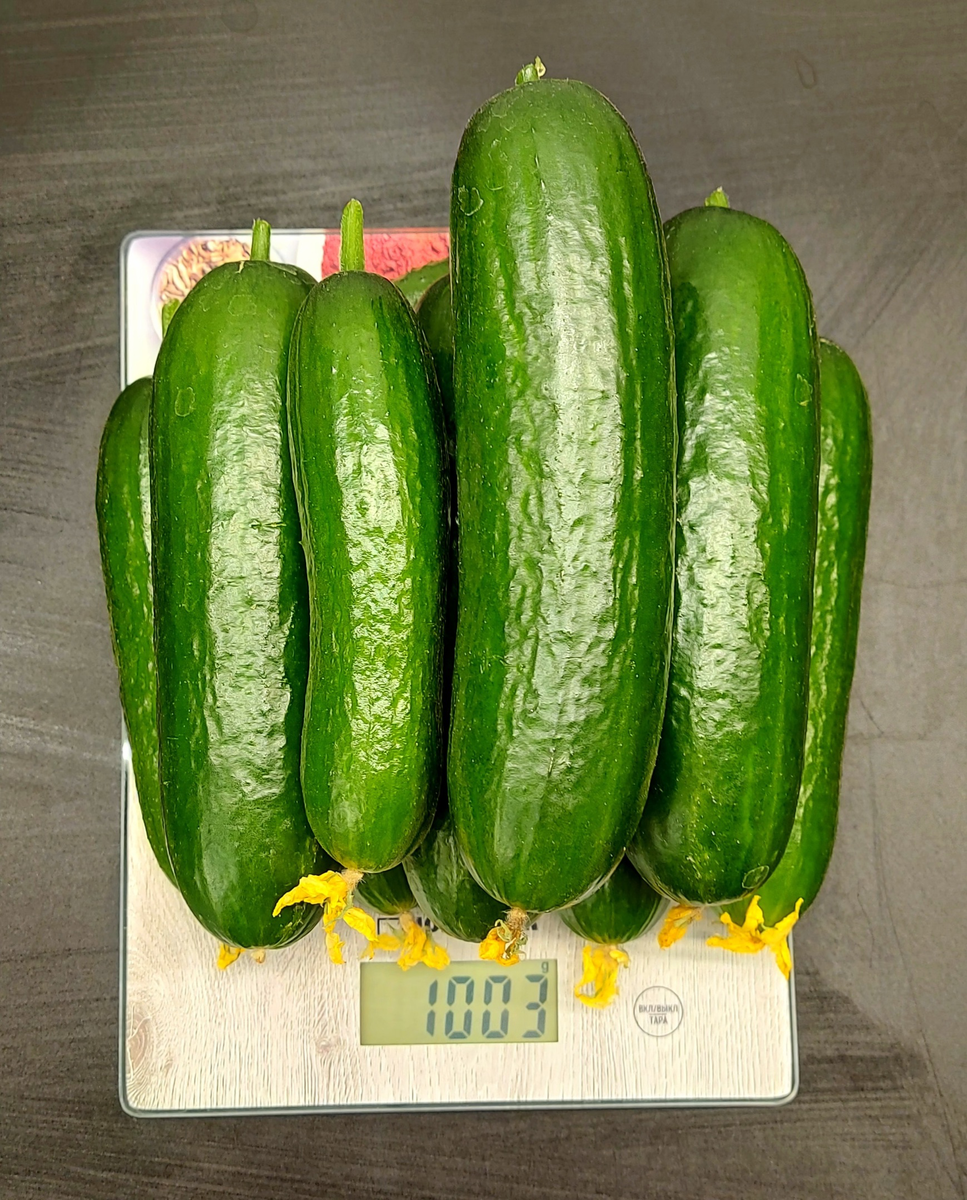 Основные ошибки дачников, из-за которых желтеют завязи 