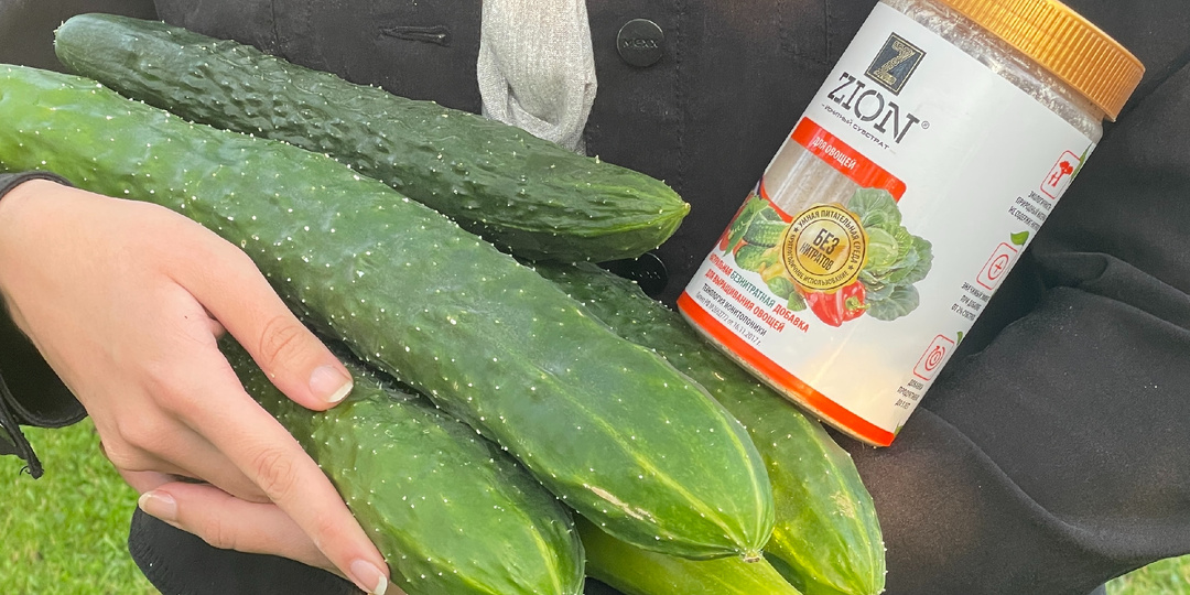 Почему желтеют завязи огурцов и что с этим делать: ошибки дачников и эффективные меры.