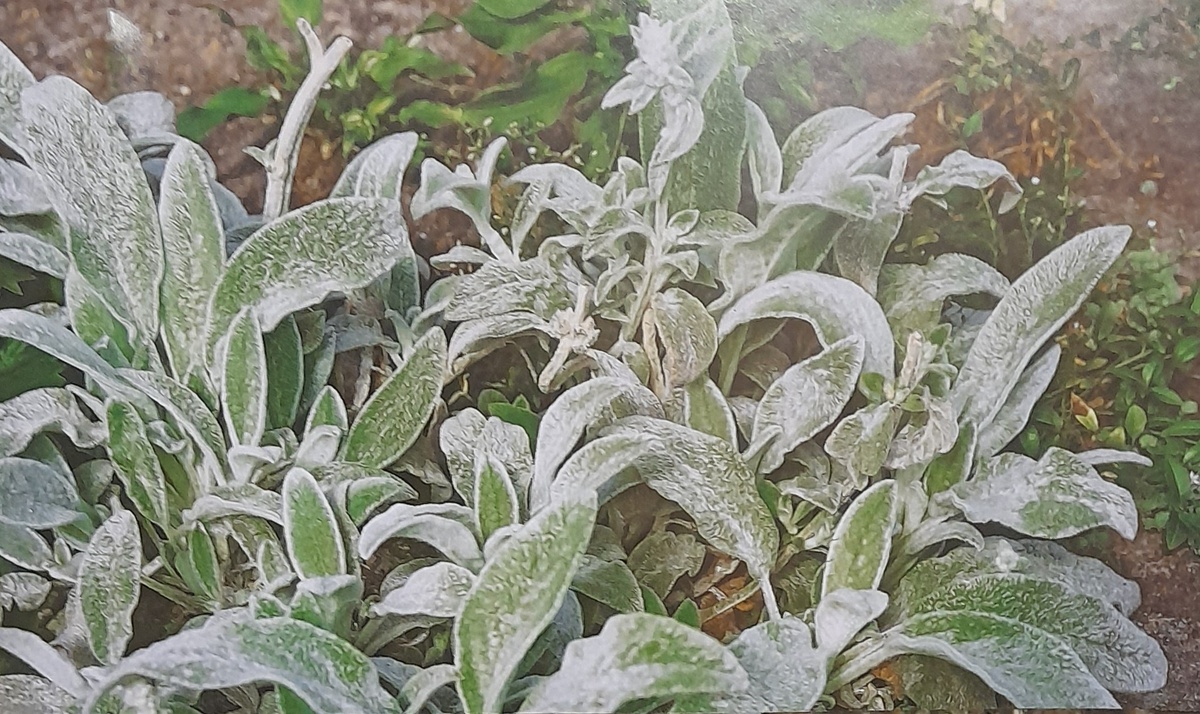 Фото автора канала