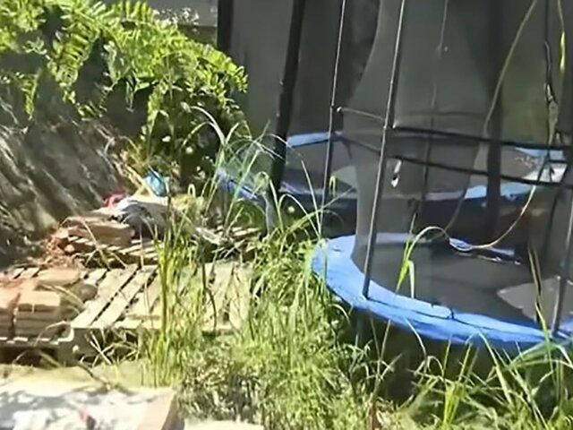    Фото: dailymail.co.uk