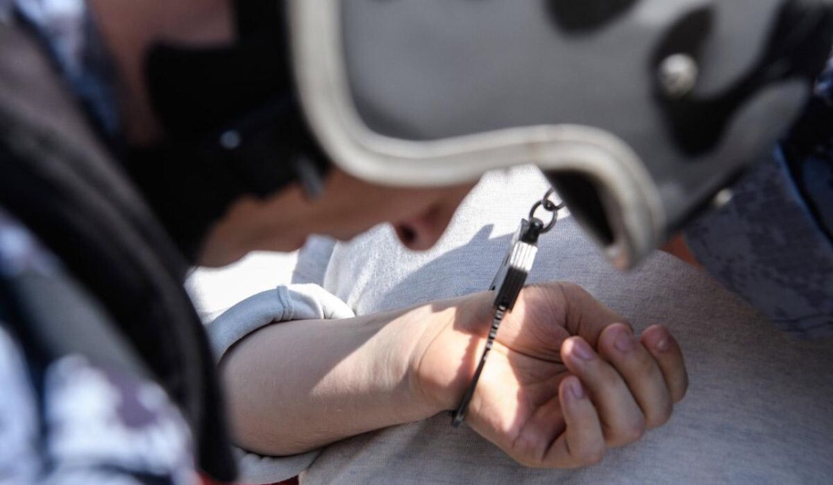     Задержание. Источник: URA.RU / Global Look Press Автор фото: Илья Московец