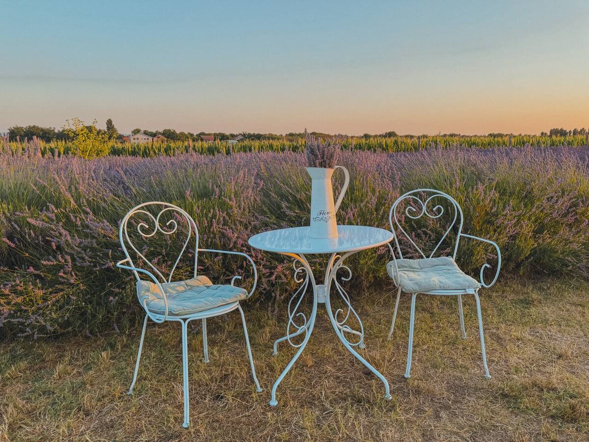 В галерее есть фото, как поле выглядит, когда к нему подходишь. От машины нужно дойти по полю до лаванды по грунтовой дорожке.