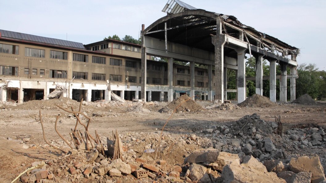    Фото: Martin Bilek/shutterstock