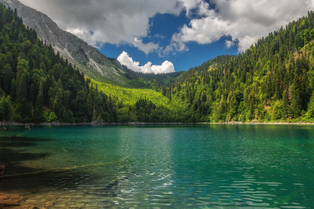 https://www.reginahotels.ru/articles/picunda-abhaziya-dostoprimechatelnosti