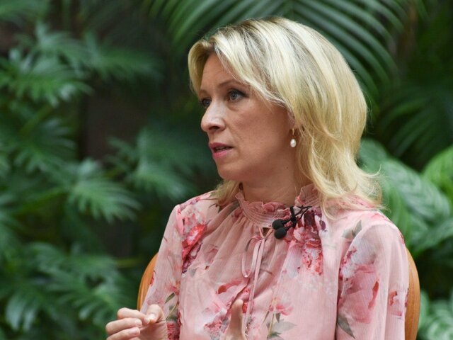    Фото: Москва 24/Никита Симонов