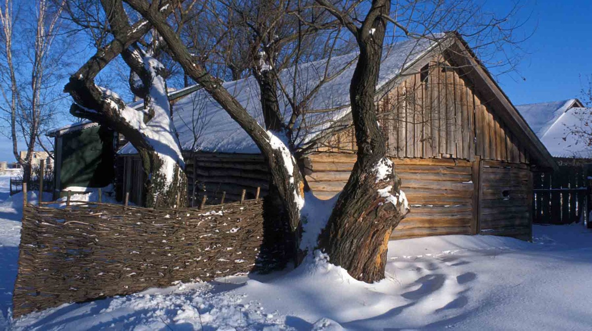    Фото: Global Look Press / Виктор Грицук