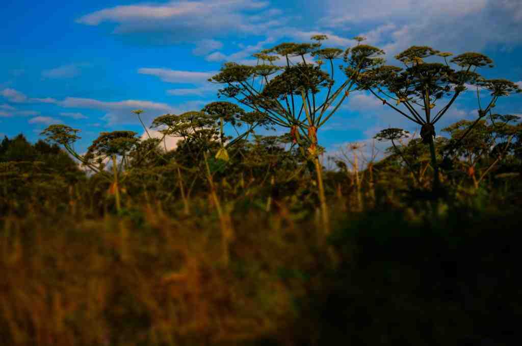    Александр Вильф / РИА Новости