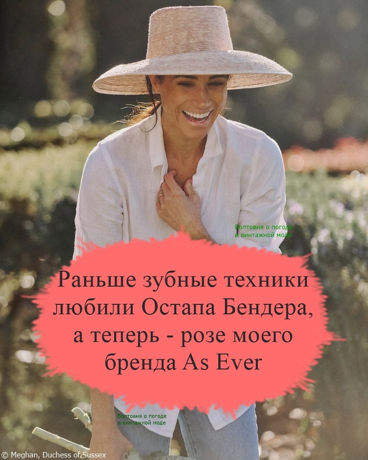 Когда я услышала историю о розе Меган и дантисте, то в моих ушах сразу зазвучала роскошная фраза Остапа Бендера о том, что его "любили домашние хозяйки, домашние работницы и даже одна женщина - зубной техник" из романа "Золотой телёнок" Ильфа и Петрова