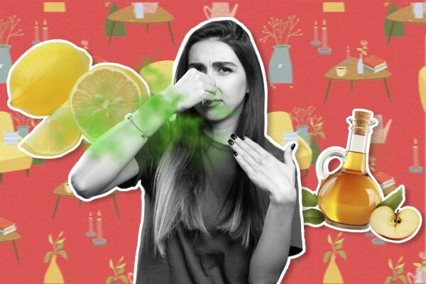 Коллаж © Life.ru. Обложка © Freepik / azerbaijan_stockers, lesyaskripak