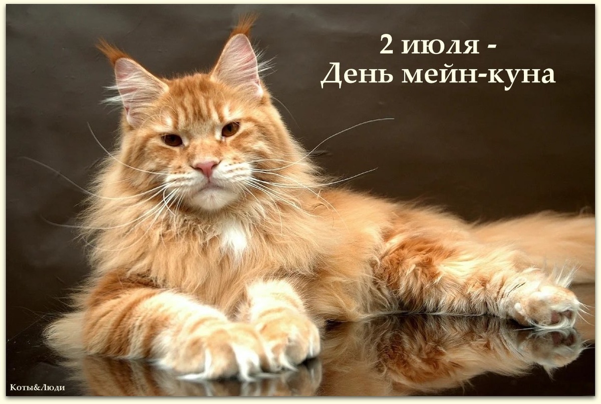 Коллаж автора. Использовано фото: https://m.fotostrana.ru/user/post/38305042/2480894927/