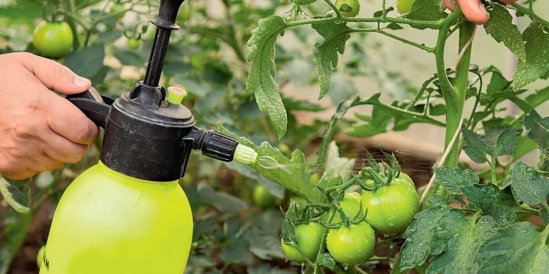 Мочевина: Самое доступное эффективное минеральное удобрение для огорода