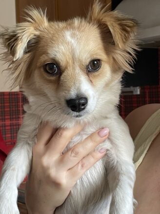    Фото: Югополис