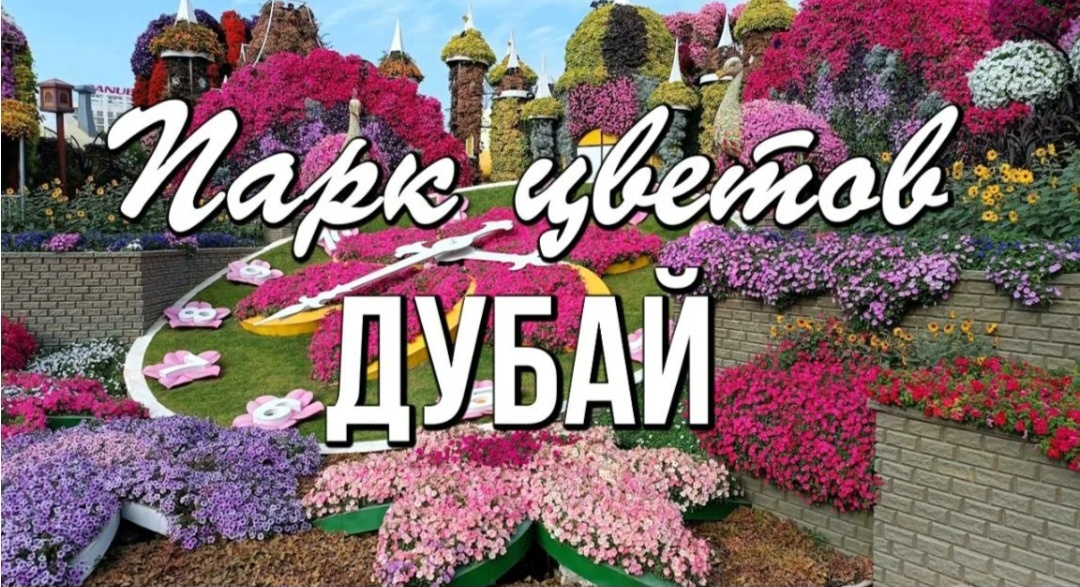 Всем на свете желаю сюда прийти и все это увидеть в реальности и по настоящему, чтобы запомнили до самой старости на миллион процентов и больше🤭😁😂