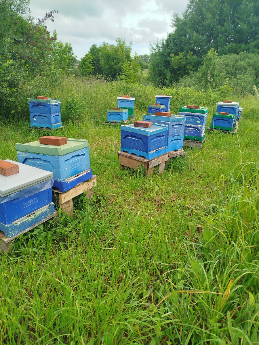 До объединения.