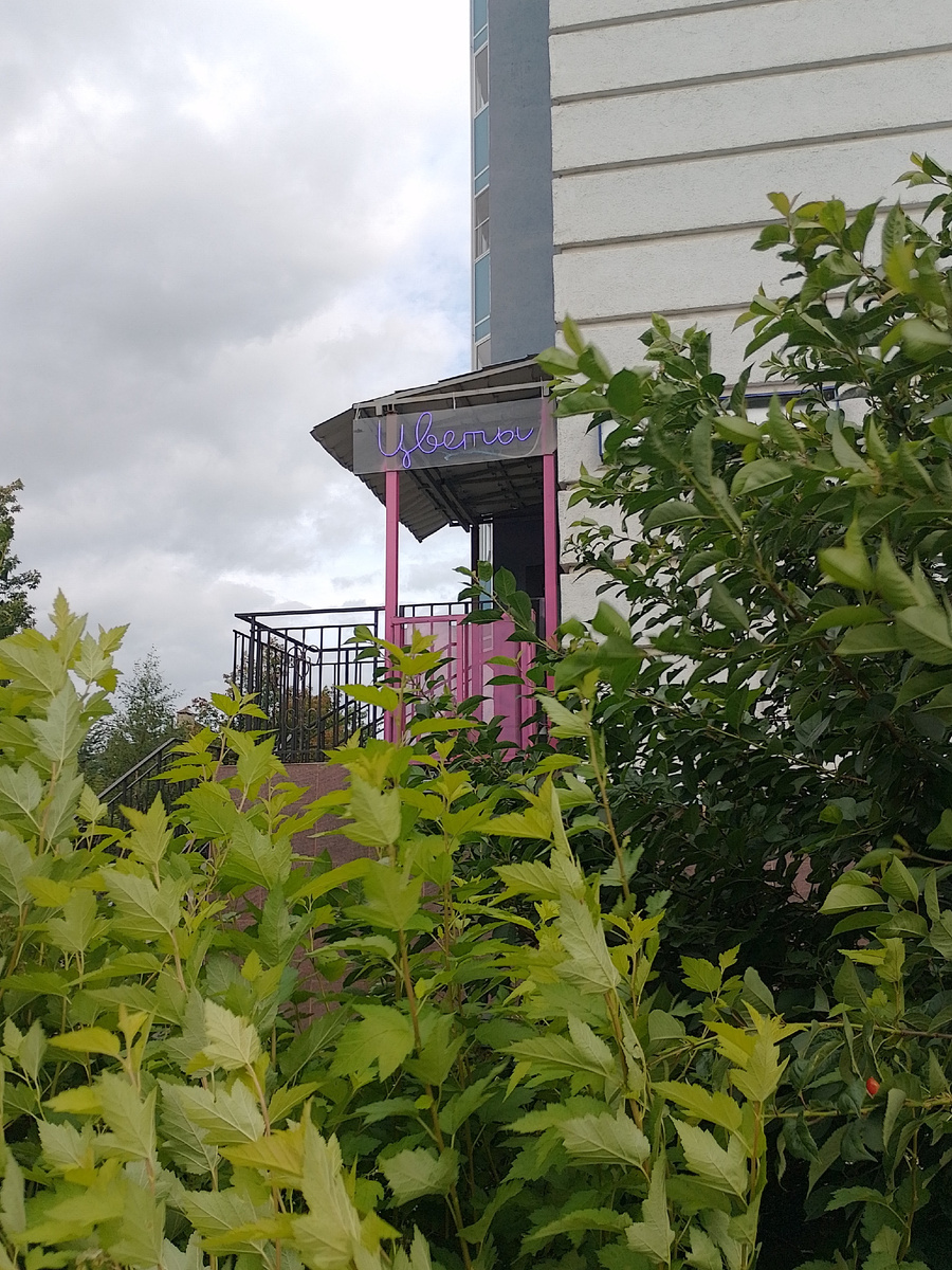 Фото автора.