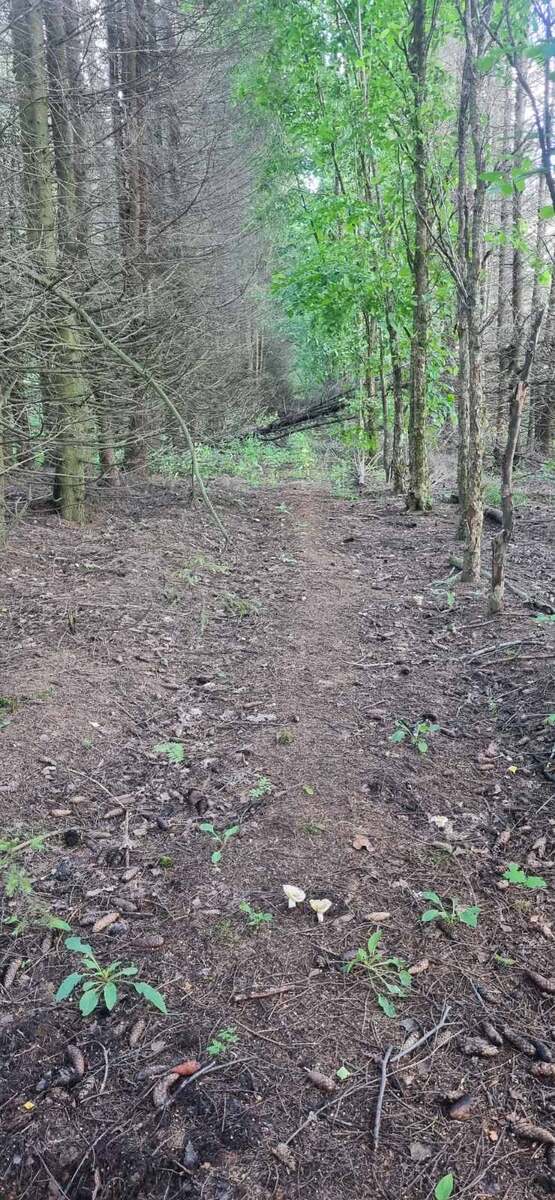 Фото из архива автора 