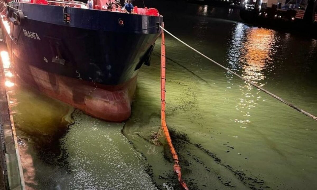    Фото t.me/Rosprirodnadzor_official