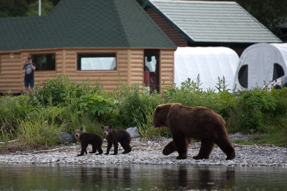 Фото Л.Варавской