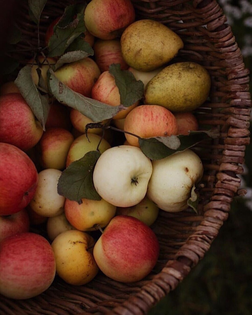 Картинка с Pinterest