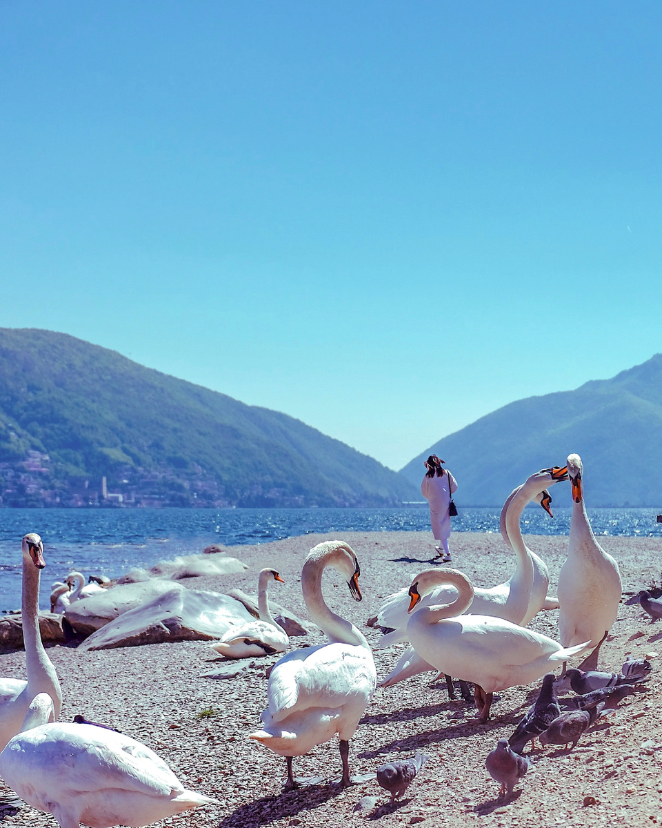 Автор: Алексей Моисеев / @partyzzzan