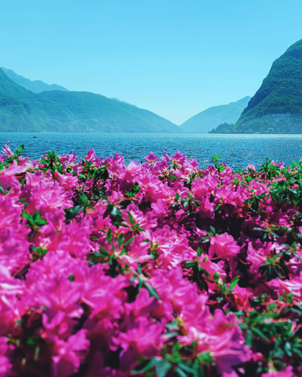 Автор: Алексей Моисеев / @partyzzzan