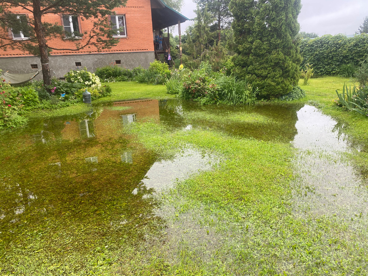 Без лишних слов