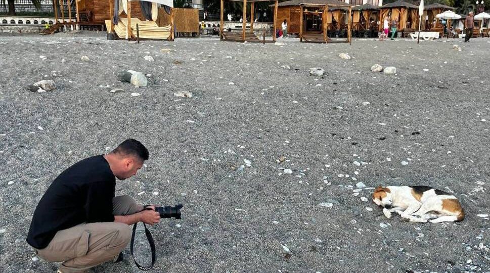 "Это русские мусорят": Абхаз привел доказательства на видео. Флешмоб с "Дошираком" не помог