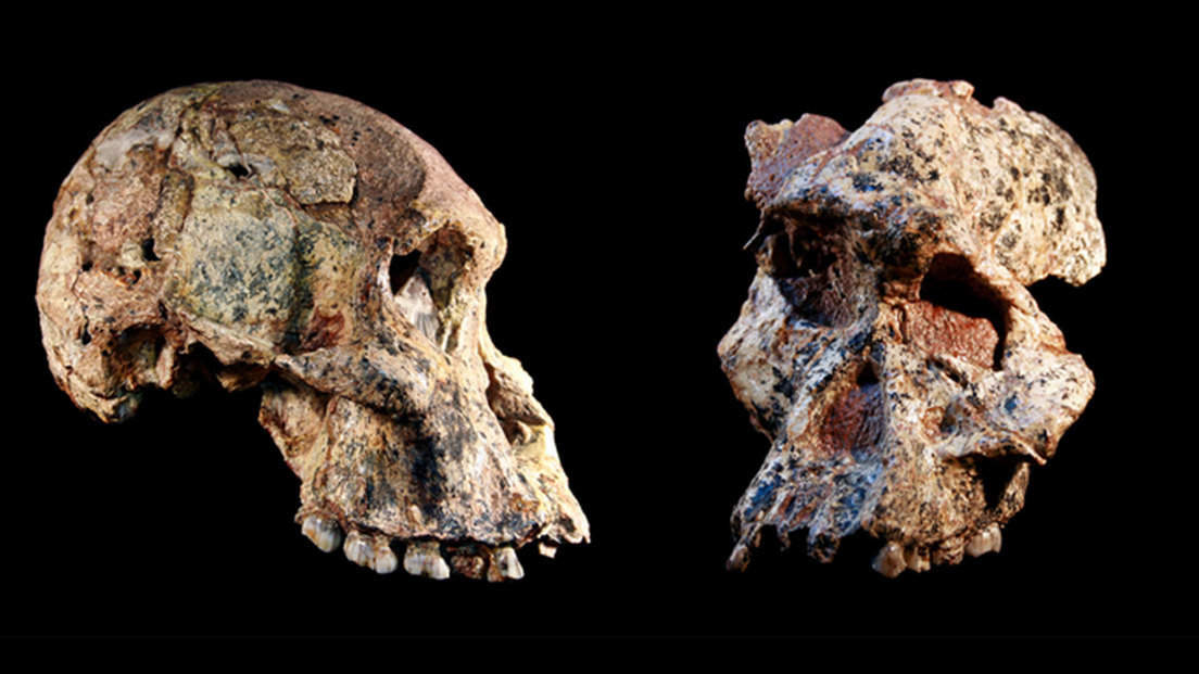 Фото: actualidad.rt.com