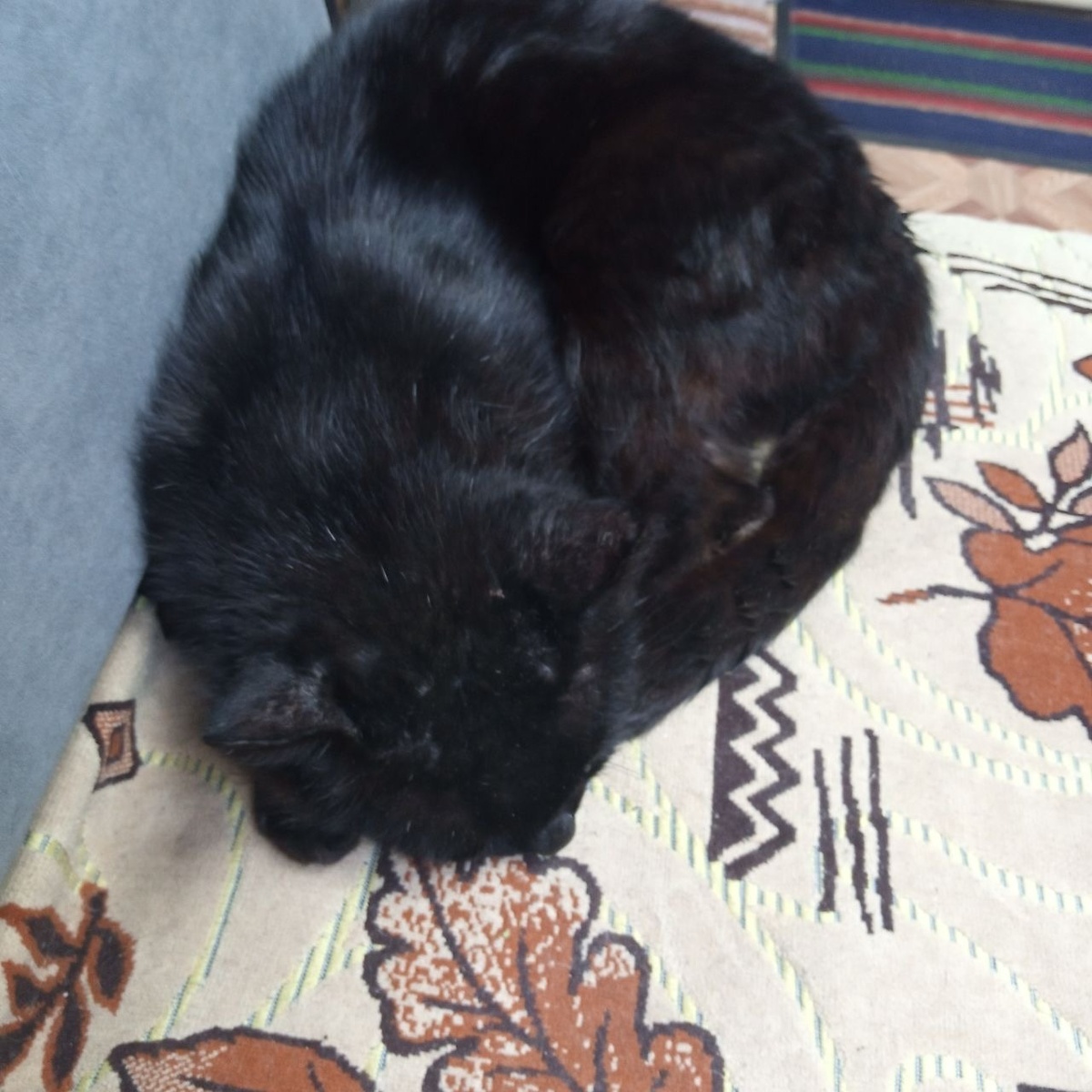 Лапчатый Гусь со слов Хозяйки я)