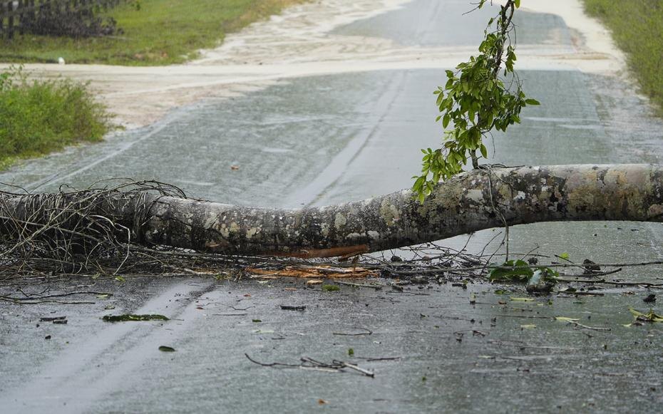    Shutterstock/FOTODOM