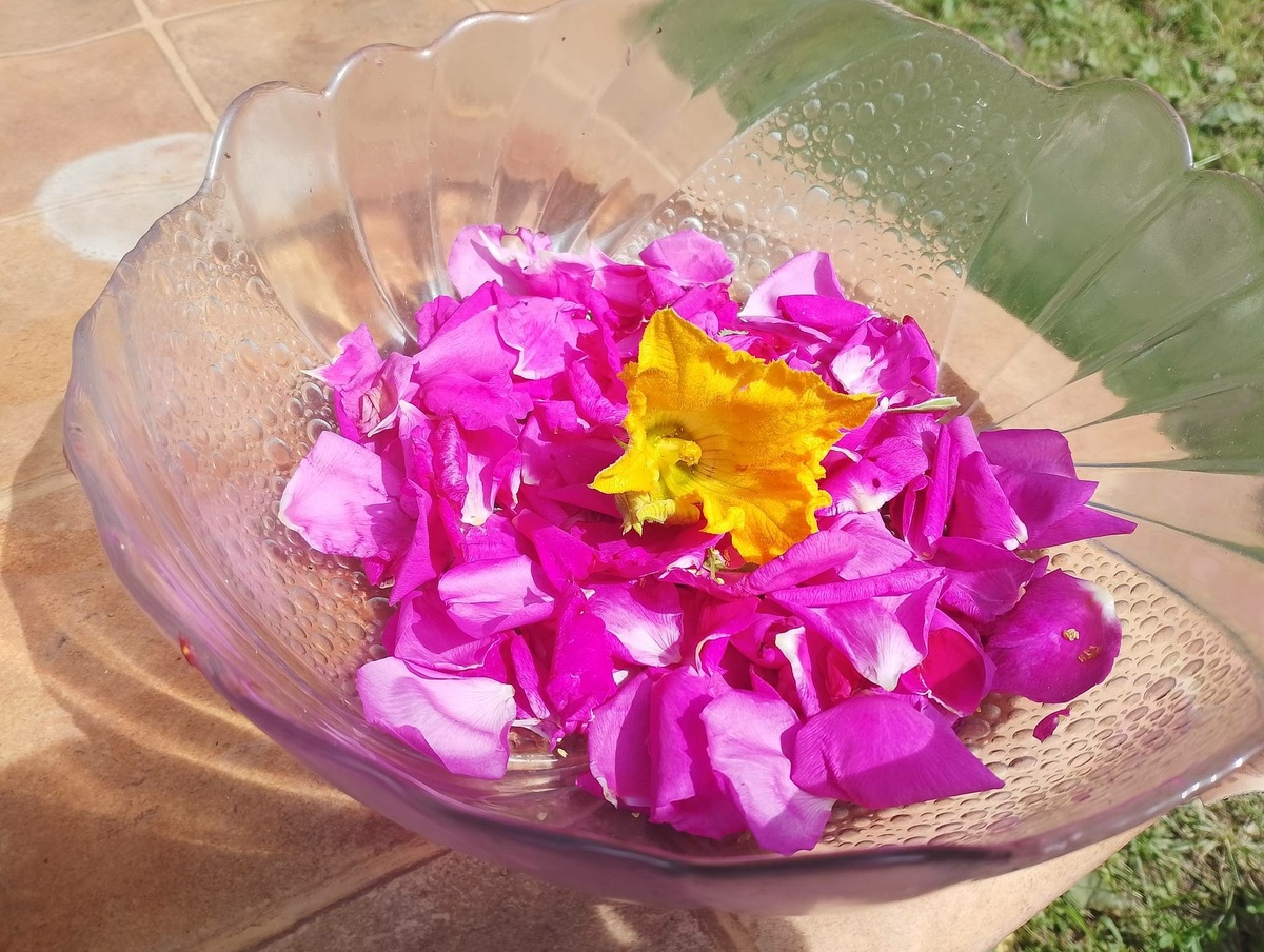 Лепестки роз с ближайшего куста и цветок кабачка с ближайшей грядки.