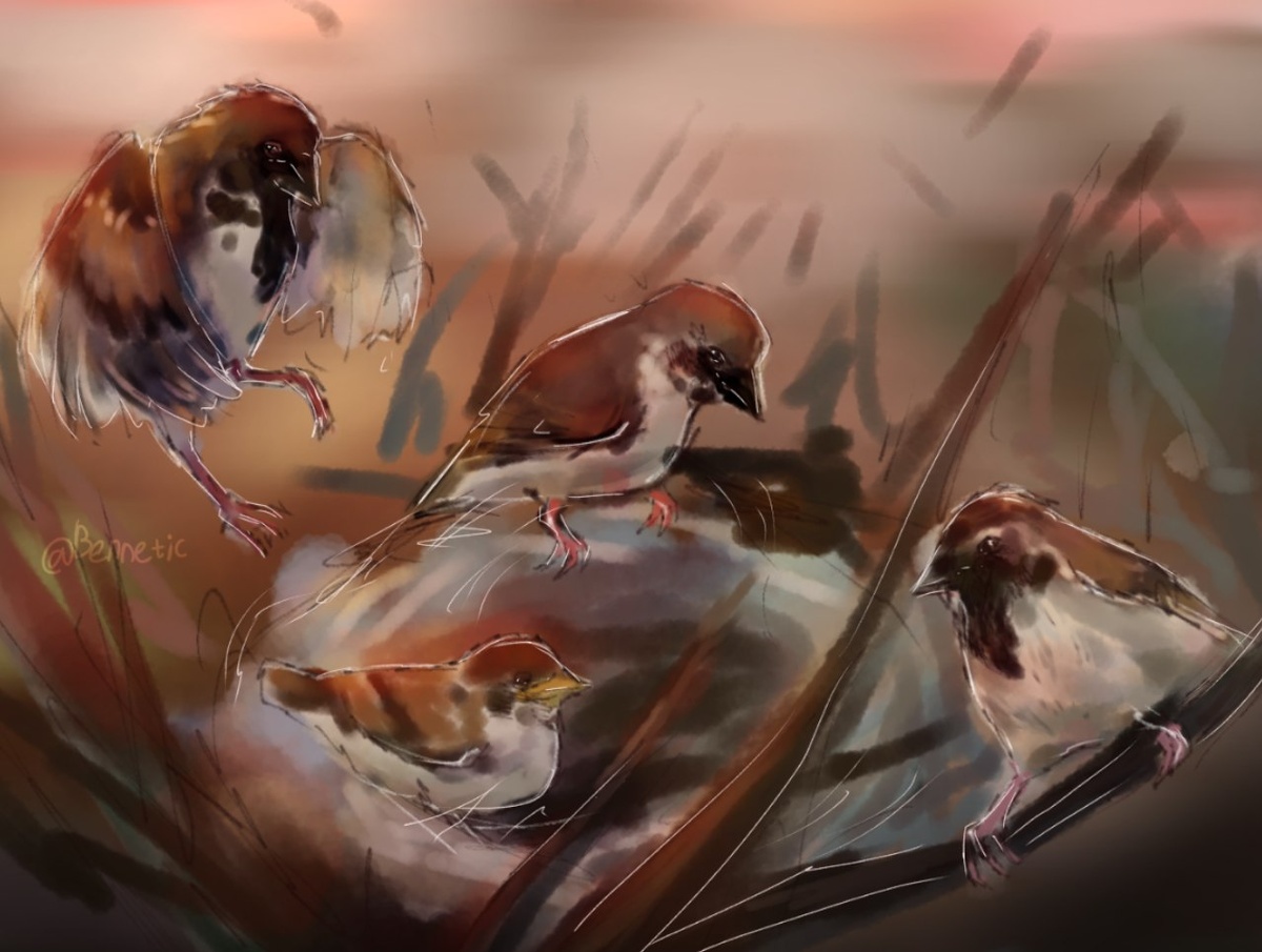 Вся семья в сборе