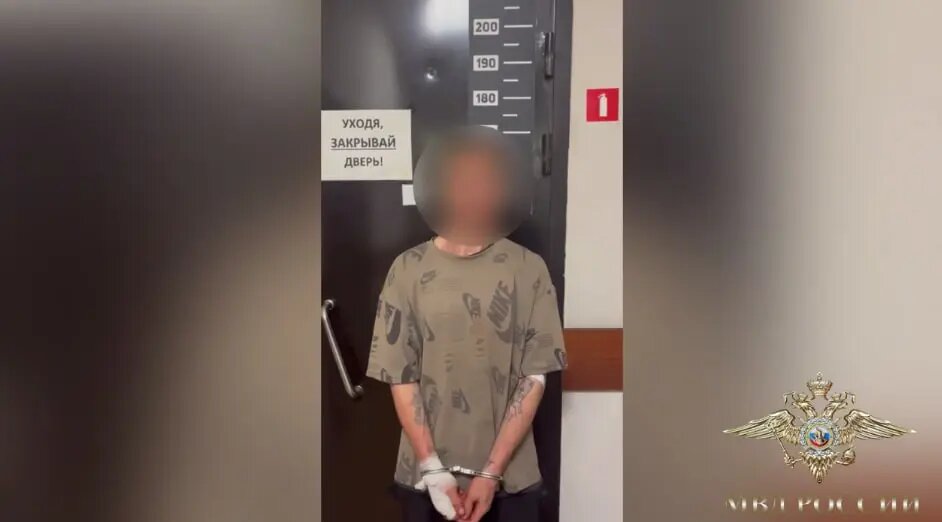    Фото: скриншот из видео в телеграм-канале официального представителя МВД России Ирины Волк.