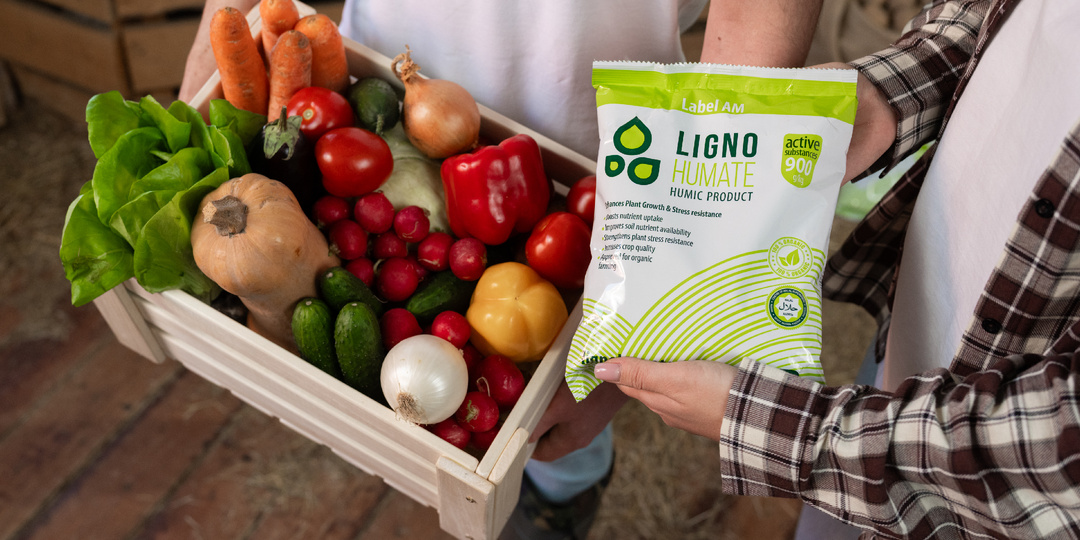 Как Лигногумат помогает растениям переносить жару: уход за огородом летом