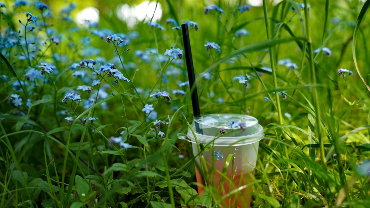 Светлана Мулыкина📷
