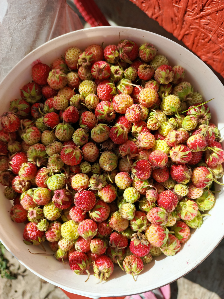 Родители собрали и нам передали. 